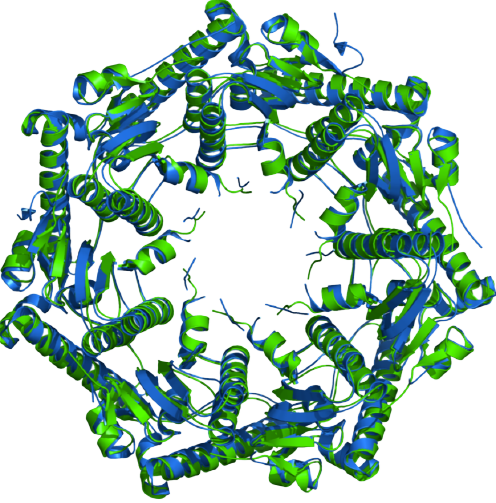 Symmetric protein structure