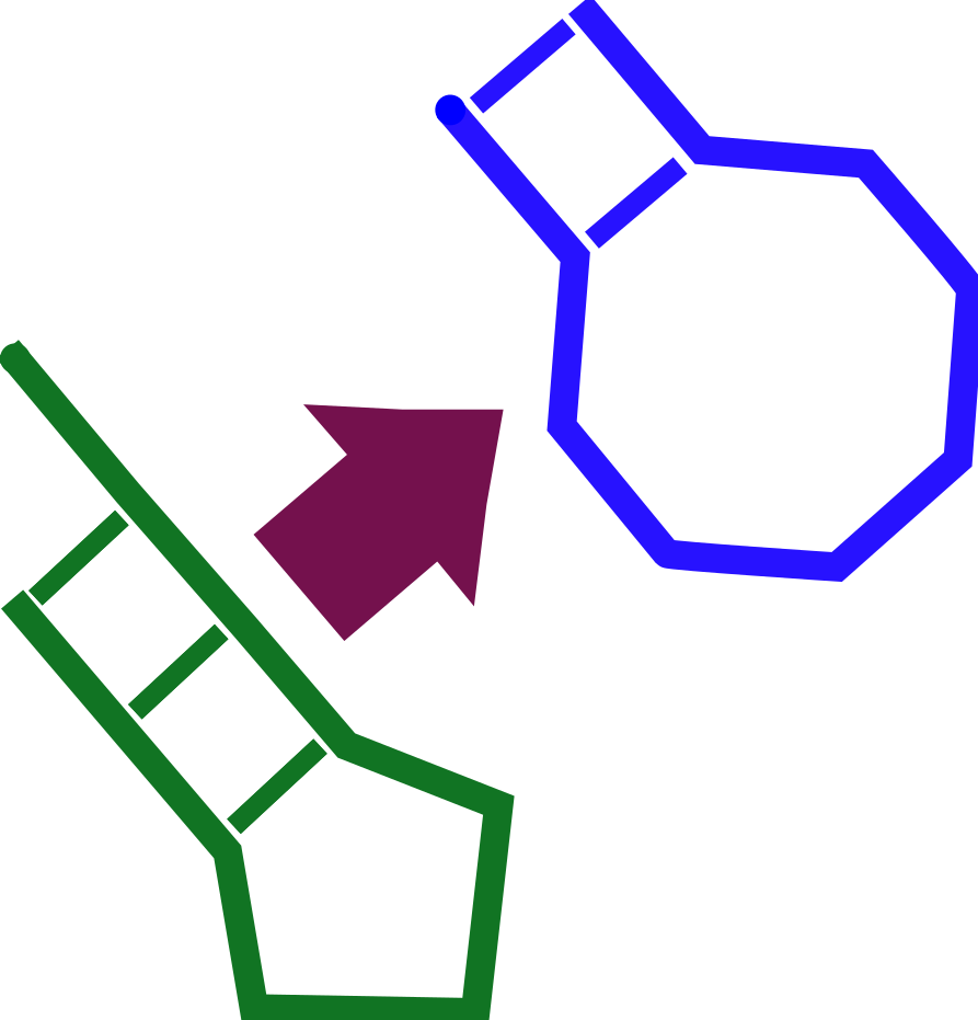 Two RNA structures